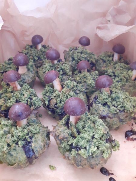 Zdjęcie ze spotkania