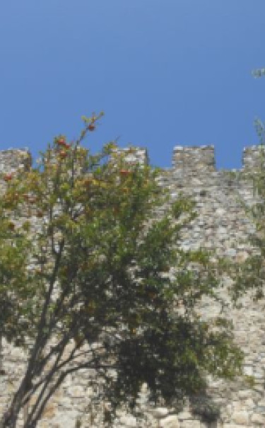 Granat, ulubione drzewko Afrodyty. Owoc granatu oznacza w Grecji dobrą wróżbę dla domu i jego mieszkańców. Granat, ulubione drzewko Afrodyty. Owoc granatu oznacza w Grecji dobrą wróżbę dla domu i jego mieszkańców.